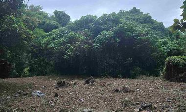 Dijual Tanah 3,6 Are View Sungai dan perkebunan cocok Usaha Villa