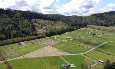 Parcela 5.000 m² en exclusivo Loteo Alto Río – Valdivia