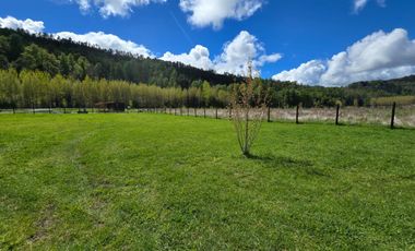 Parcela 5.000 m² en exclusivo Loteo Alto Río – Valdivia