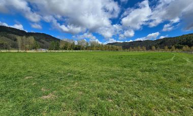 Parcela 5.000 m² en exclusivo Loteo Alto Río – Valdivia
