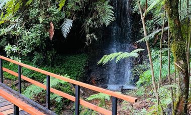 Parcela 5.000 m² en exclusivo Loteo Alto Río – Valdivia