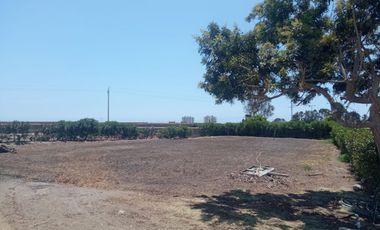 VENDO TERRENO CONDOMINIO ALTO PRADERA - ASIA