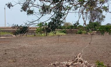 VENDO TERRENO CONDOMINIO ALTO PRADERA - ASIA