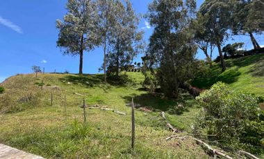 En venta Finca en Rionegro