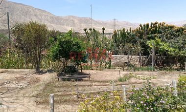 ✨ Venta De Propiedad En Cp Auquix, Distrito De Humay – Pisco ✨