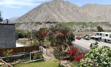 ✨ Venta De Propiedad En Cp Auquix, Distrito De Humay – Pisco ✨