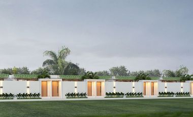 Kami menawarkan peluang keuntungan hingga 100 jutaan per tahun