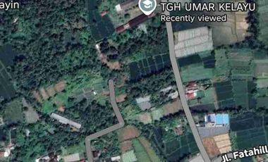 JUAL TANAH 1500 m2 (15 are), LOKASI JORONG KELAYU, KEC. SELONG, LOMBOK TIMUR