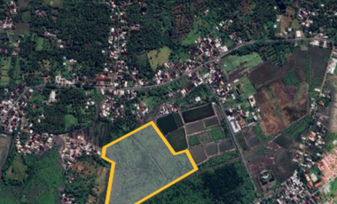 JUAL MURAH!!  145 ribu per m². Tanah seluas 4,9 Hektar (49.000 m²) di Tanjung Luar, Lombok Timur