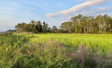 Beachfront land on Kuranji Beach, West Lombok