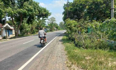 jual murah tanah pekarangan bagus untuk gudang ,usaha + rumah hunian Di Ngoro Jombang Harga di bawah NJOP