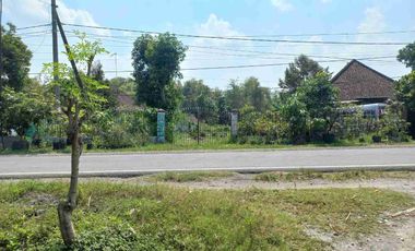 jual murah tanah pekarangan bagus untuk gudang ,usaha + rumah hunian Di Ngoro Jombang Harga di bawah NJOP