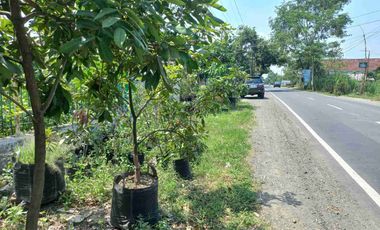 jual murah tanah pekarangan bagus untuk gudang ,usaha + rumah hunian Di Ngoro Jombang Harga di bawah NJOP