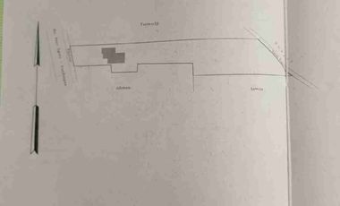 jual murah tanah pekarangan bagus untuk gudang ,usaha + rumah hunian Di Ngoro Jombang Harga di bawah NJOP