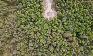 EN VENTA PARCELAS PUERTO MONTT, CAMINO LAS LOMAS A MINUTOS DE AEROPUERTO EL TEPUAL