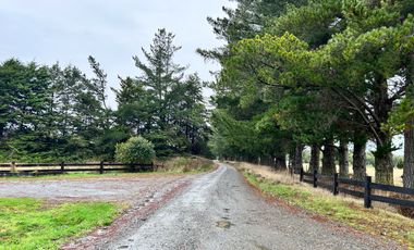 EN VENTA PARCELAS PUERTO MONTT, CAMINO LAS LOMAS A MINUTOS DE AEROPUERTO EL TEPUAL