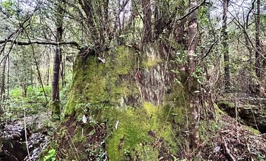 EN VENTA PARCELAS PUERTO MONTT, CAMINO LAS LOMAS A MINUTOS DE AEROPUERTO EL TEPUAL
