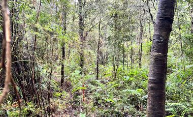 EN VENTA PARCELAS PUERTO MONTT, CAMINO LAS LOMAS A MINUTOS DE AEROPUERTO EL TEPUAL