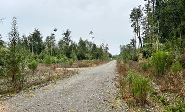EN VENTA PARCELAS PUERTO MONTT, CAMINO LAS LOMAS A MINUTOS DE AEROPUERTO EL TEPUAL