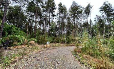 EN VENTA PARCELAS PUERTO MONTT, CAMINO LAS LOMAS A MINUTOS DE AEROPUERTO EL TEPUAL