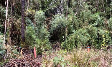 EN VENTA PARCELAS PUERTO MONTT, CAMINO LAS LOMAS A MINUTOS DE AEROPUERTO EL TEPUAL