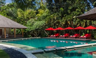 FOR SALE LUXURY VILLA WITH SWIMMING POOL AND GARDEN AT CANGGU