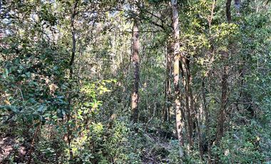 EN VENTA TERRENO ESTAQUILLA - HUA-HUAR, EXCELENTE VISTA AL MAR