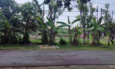 Tanah Murah Milik Sendiri Pinggir Jalan Raya Mojopurno di Desa Ngariboyo Kabupaten Magetan