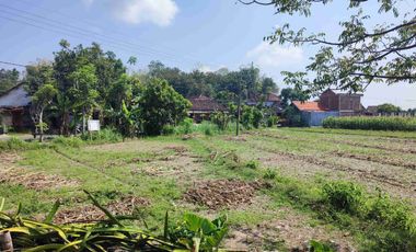 Tanah Murah Milik Sendiri Pinggir Jalan Raya Mojopurno di Desa Ngariboyo Kabupaten Magetan