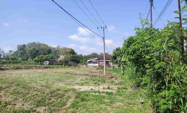 Tanah Murah Milik Sendiri Pinggir Jalan Raya Mojopurno di Desa Ngariboyo Kabupaten Magetan