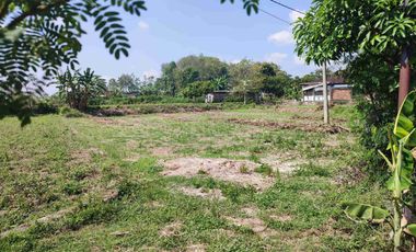 Tanah Murah Milik Sendiri Pinggir Jalan Raya Mojopurno di Desa Ngariboyo Kabupaten Magetan