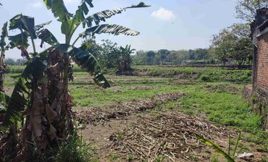 Tanah Murah Milik Sendiri Pinggir Jalan Raya Mojopurno di Desa Ngariboyo Kabupaten Magetan