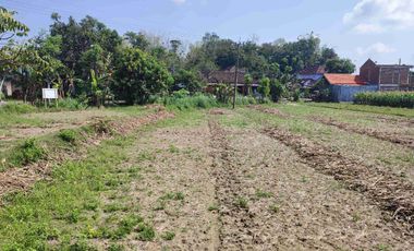 Tanah Murah Milik Sendiri Pinggir Jalan Raya Mojopurno di Desa Ngariboyo Kabupaten Magetan