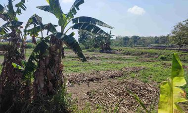 Tanah Murah Milik Sendiri Pinggir Jalan Raya Mojopurno di Desa Ngariboyo Kabupaten Magetan