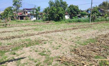 Tanah Murah Milik Sendiri Pinggir Jalan Raya Mojopurno di Desa Ngariboyo Kabupaten Magetan