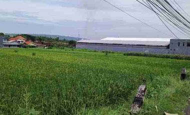 Tanah dijual di Ringinanom, Nganjuk, Jawa Timur