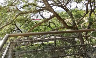 Se arrienda espectacular apartamento piso (403) Torre 4 Norte.