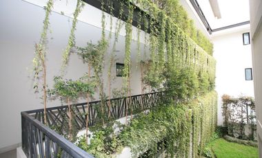 🌿 Vive la Experiencia de Estrenar — Suite Exclusiva con Terraza Privada