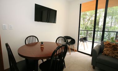 🌿 Vive la Experiencia de Estrenar — Suite Exclusiva con Terraza Privada