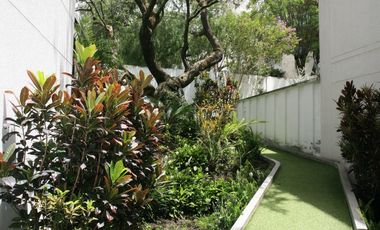 🌿 Vive la Experiencia de Estrenar — Suite Exclusiva con Terraza Privada