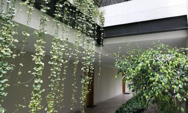 🌿 Vive la Experiencia de Estrenar — Suite Exclusiva con Terraza Privada