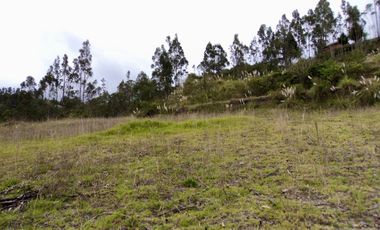 TERRENOS EN VENTA ubicados en el sector de Mesaloma, Déleg