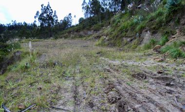 TERRENOS EN VENTA ubicados en el sector de Mesaloma, Déleg