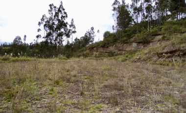 TERRENOS EN VENTA ubicados en el sector de Mesaloma, Déleg