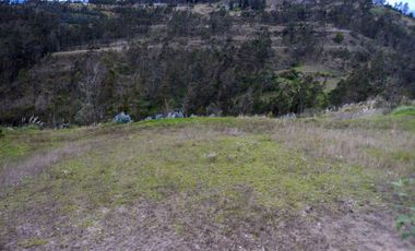 TERRENOS EN VENTA ubicados en el sector de Mesaloma, Déleg