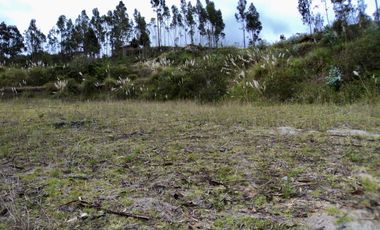 TERRENOS EN VENTA ubicados en el sector de Mesaloma, Déleg