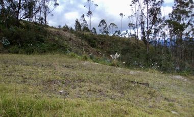 TERRENOS EN VENTA ubicados en el sector de Mesaloma, Déleg