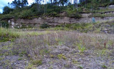 TERRENOS EN VENTA ubicados en el sector de Mesaloma, Déleg