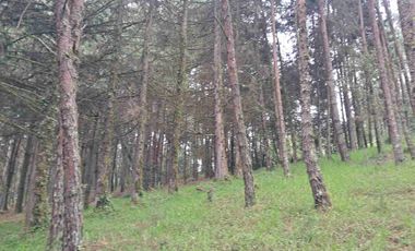 En VENTA 15,000 m2 en carretera federal Tulancingo Huauchinango