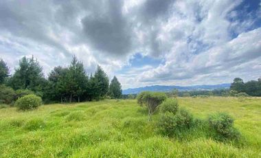 En VENTA 10,000 m2  en Montemar. Acaxochitlan. cerca de presa tejocotal.